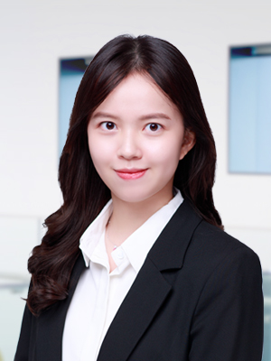 Dinh Hoang Minh Ngan