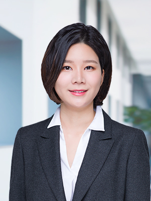 Hye Sung Choi